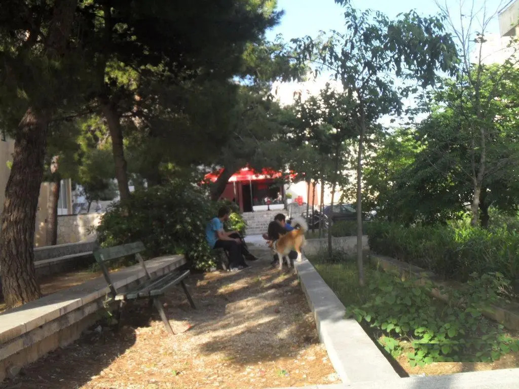 Apartments Batovanja