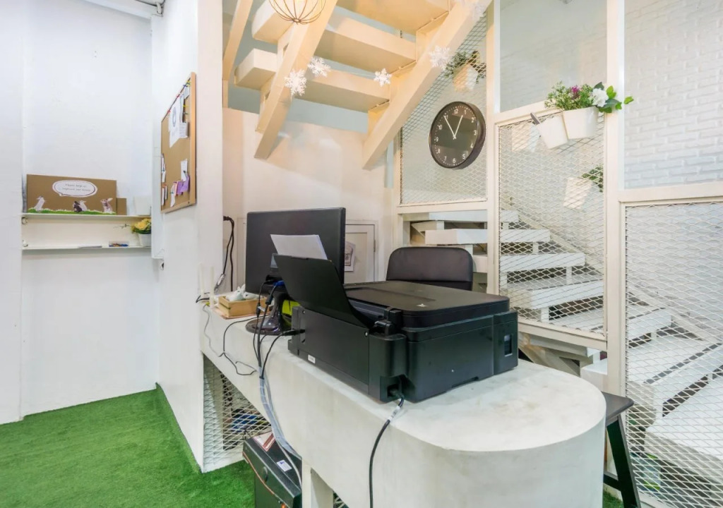 Rabbitat Hostel