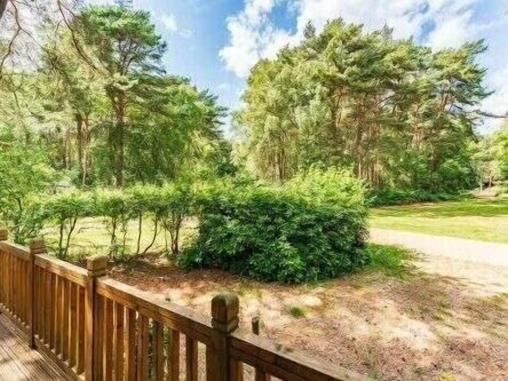 Guelder Rose Lodge - Kelling Heath Holiday Park - 22249