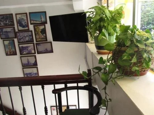 Hotel Carluval