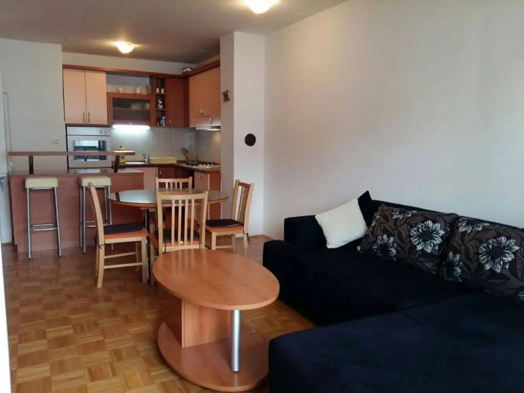 Apartment Svejk