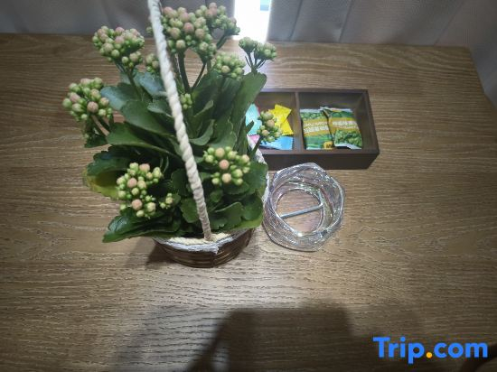 Shiyue B&B (Xi'an Lintong Terra Cotta Warriors Store）
