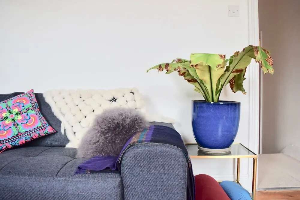 Stylish and Spacious 1 Bed Flat in Hackney