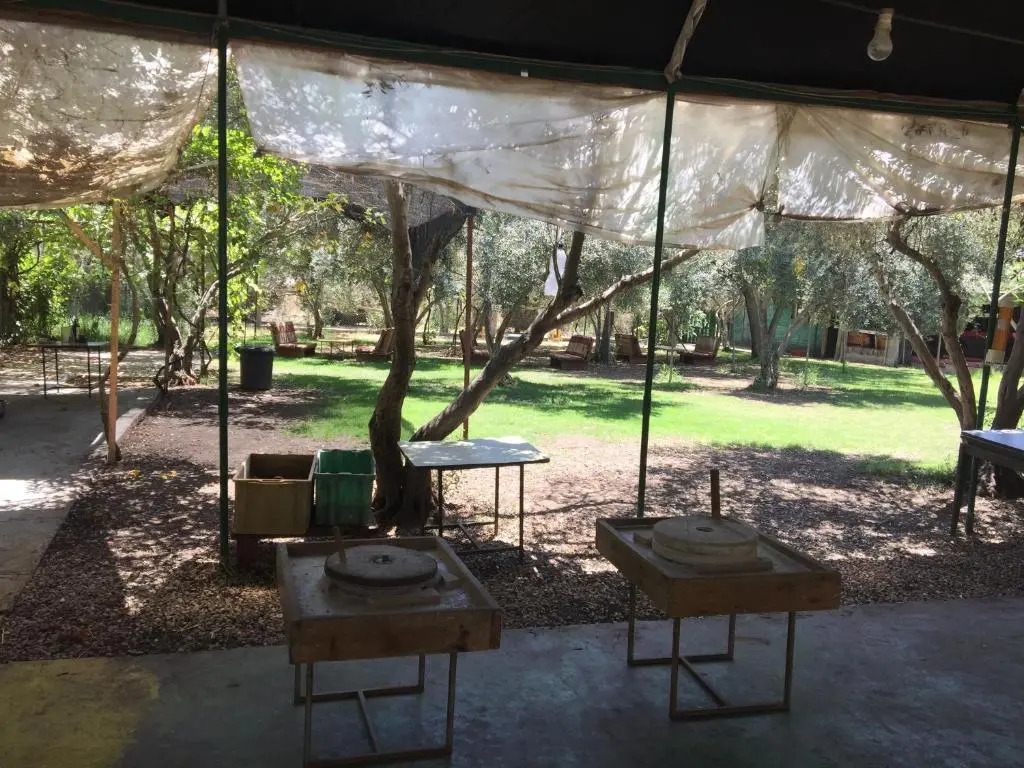 Peace Tent