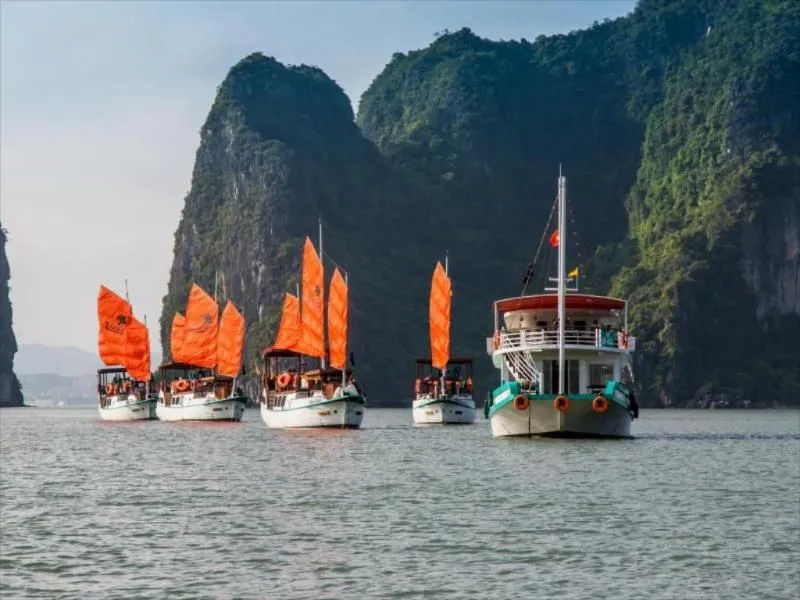 LAzalee Cruise