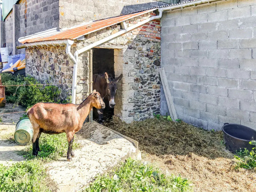 Welcoming Holiday Home in Brainville with Fenced Garden