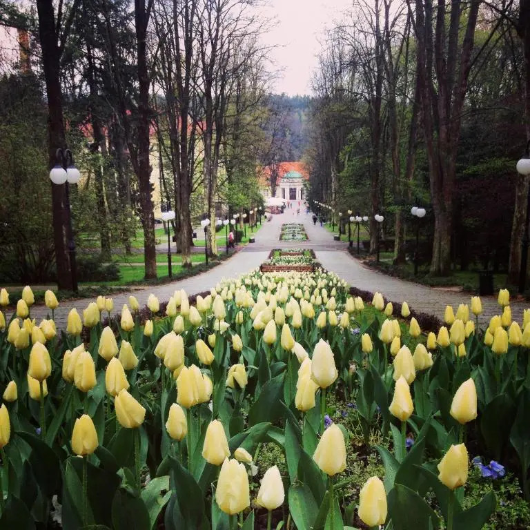 Villa Filmowiec