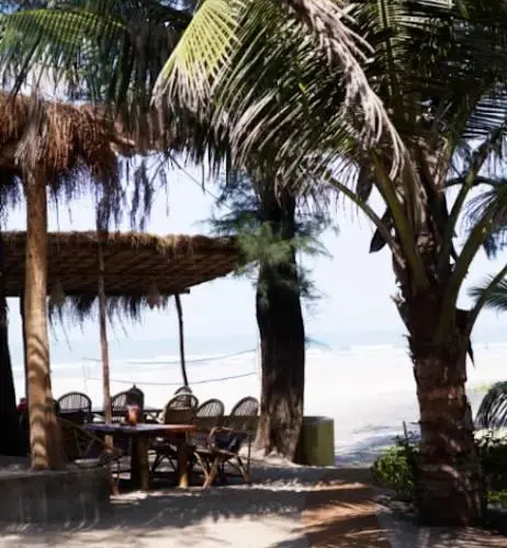 Little Palm Grove