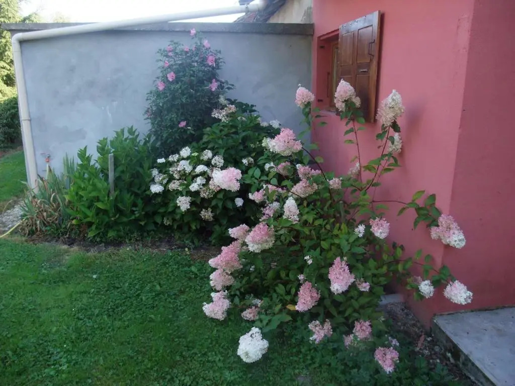 La Maison Du L.A.C.