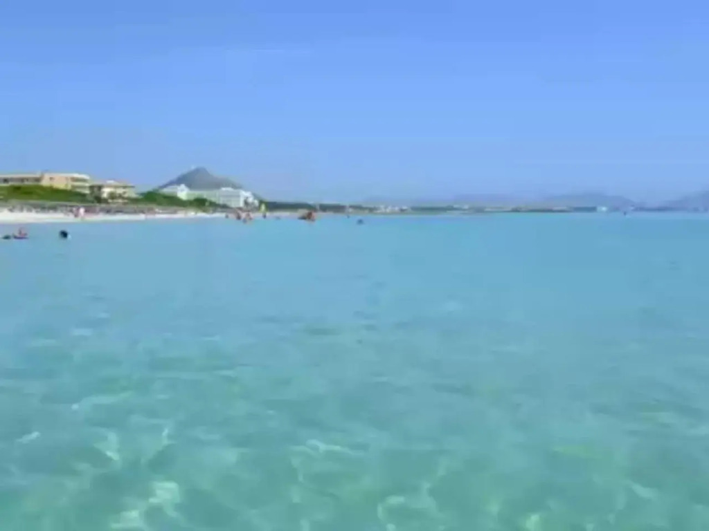 3378 - Port Alcudia