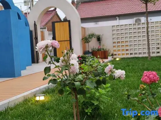 Qingyu Case Homestay