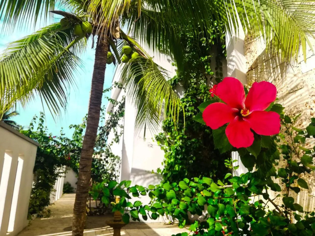 Hotel Rilux Tolú -Casa Danae
