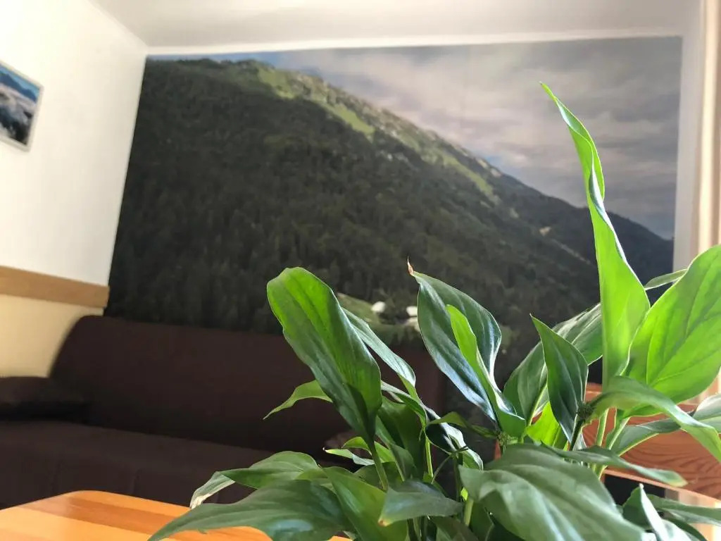 Guesthouse Draga