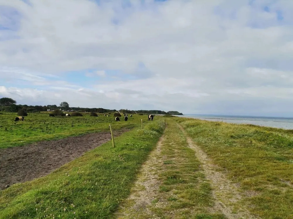 8 Person Holiday Home in Nordborg-by Traum