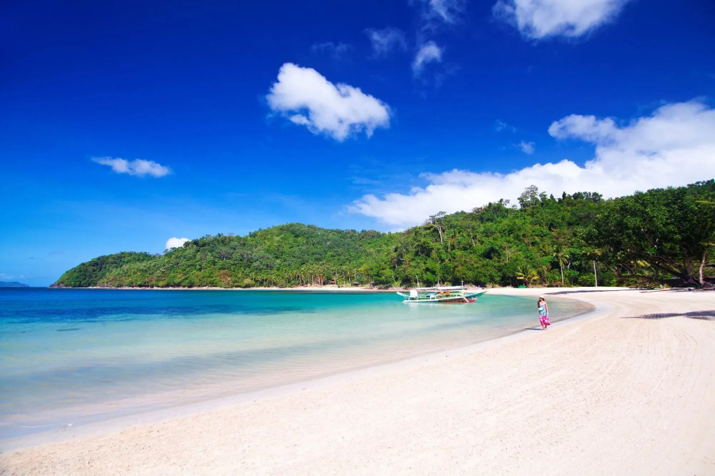 Secret Paradise Resort & Turtle Sanctuary