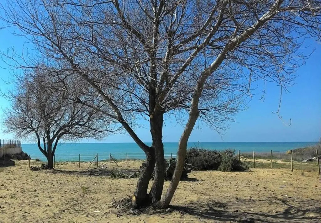 Holiday Menfi | Casale Abate