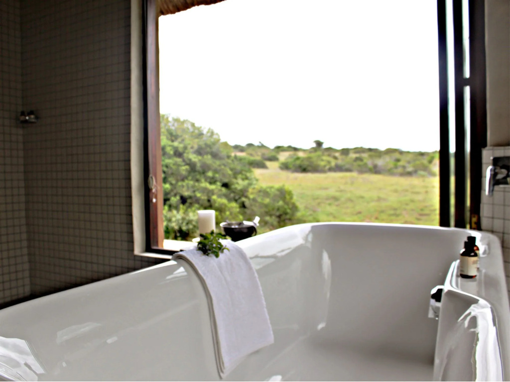 Hlosi Game Lodge - Amakhala Game Reserve