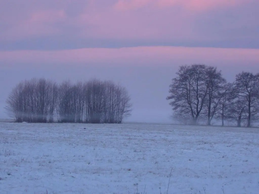"Ferienwohnungen Wiesenblick"