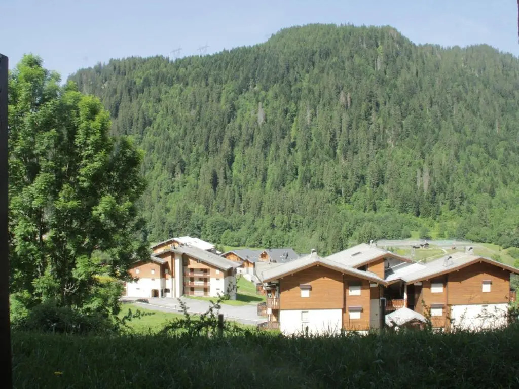 Appartement Châtel, 1 pièce, 4 personnes - FR-1-200-172