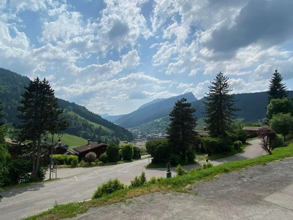 Appartement Le Grand-Bornand, 1 pièce, 4 personnes - FR-1-241-65