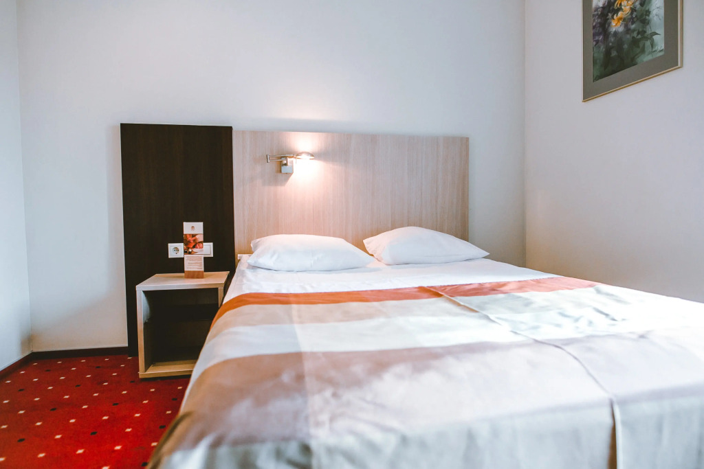 Hanza Hotel