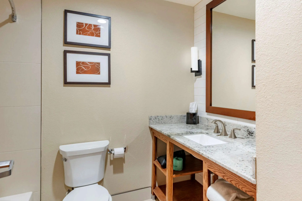 Comfort Suites - University
