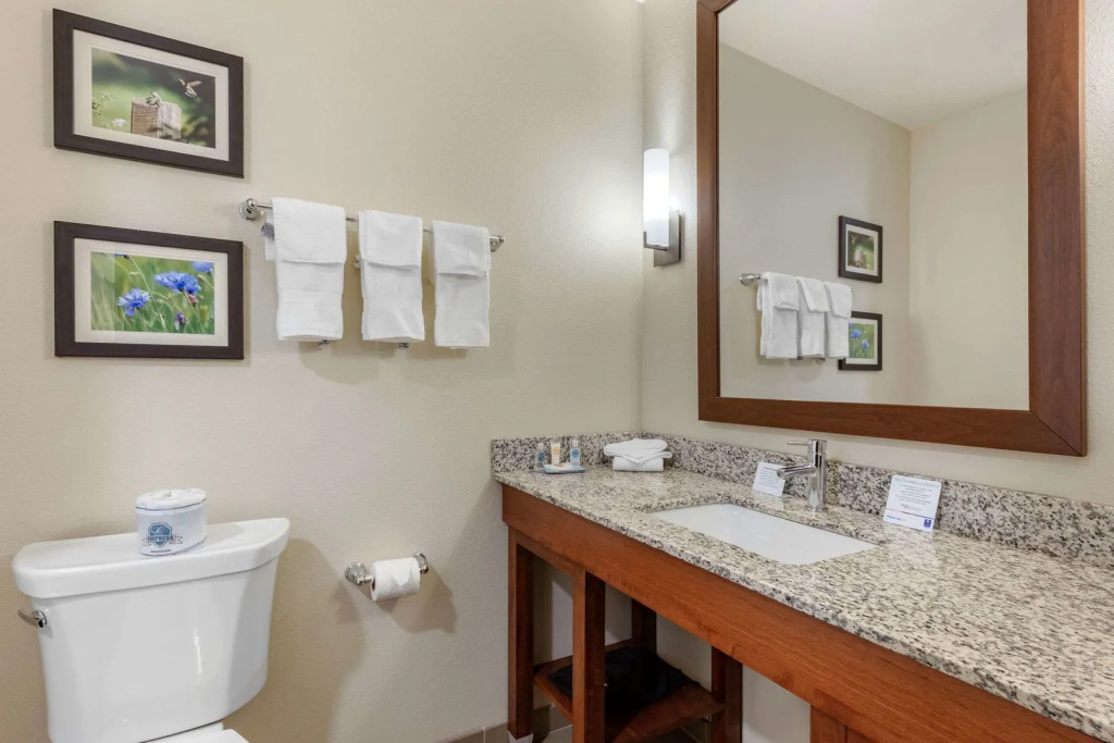 Comfort Inn White House