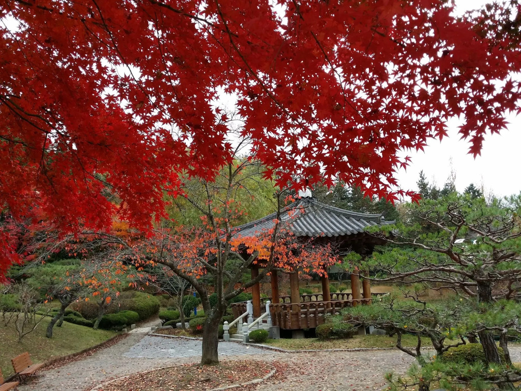 Gyeongju Bellus Rose Pension