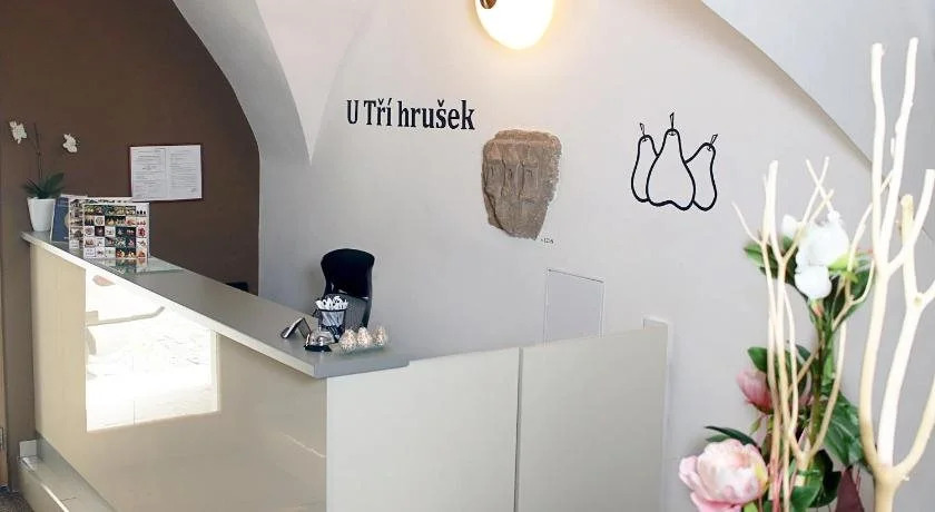 Hotel U Tří hrušek suites & apartments