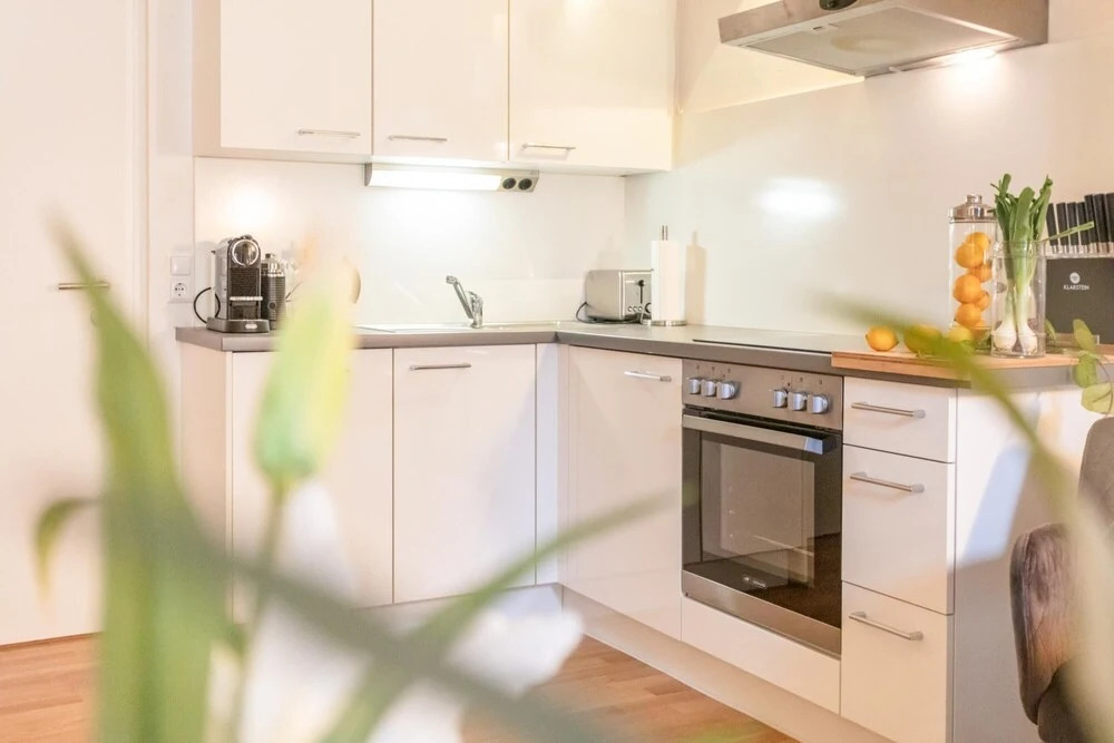 Deluxe Loft With Terrace in the Historic Centre of Krems