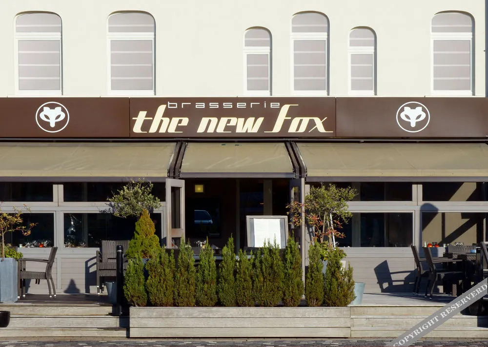 Hotel The New Fox