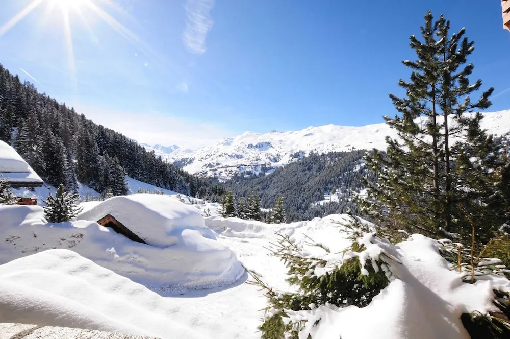 Chalet Marmotte des Neiges