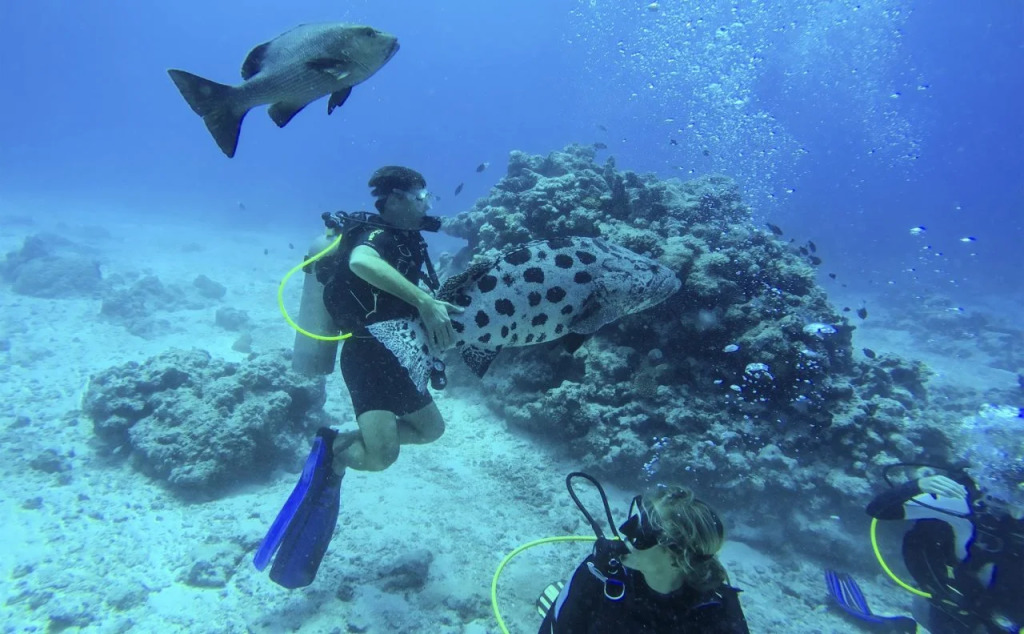 Lizard Island Resort