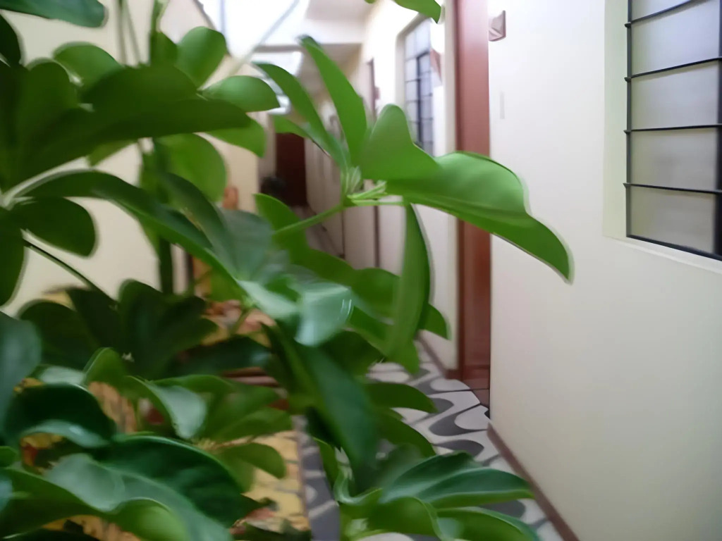 Anccalla Inn Guesthouse