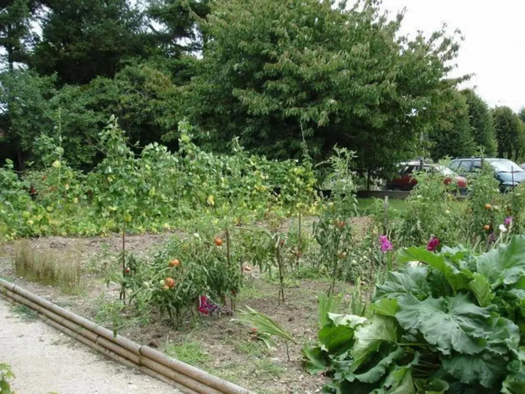 Gite Meung-sur-Loire, 4 pièces, 6 personnes - FR-1-590-96