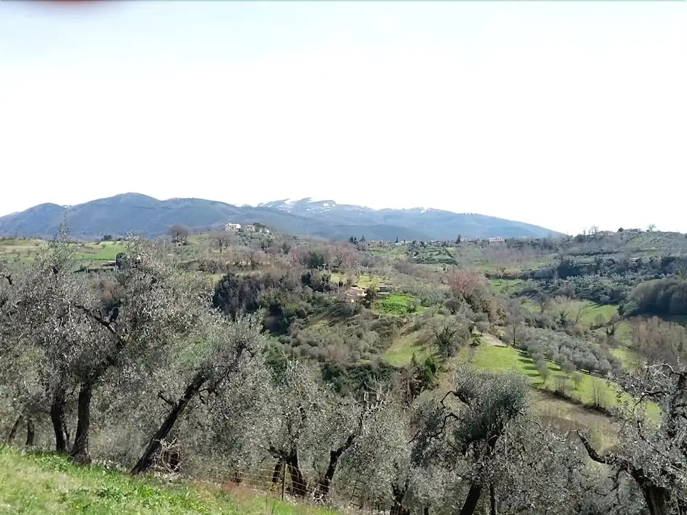 Colle dei Gelsi