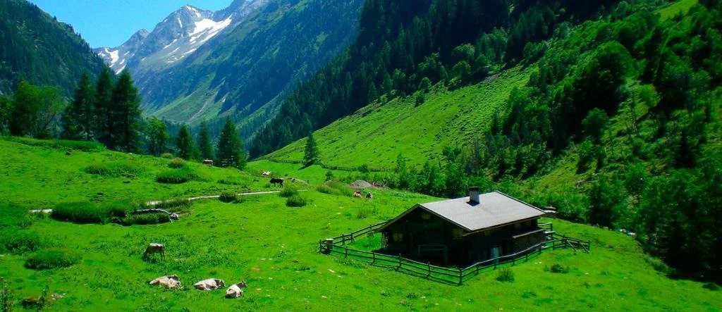 Pension Waldegg