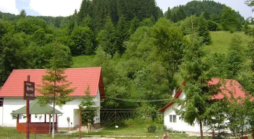 Pensiunea Rustica