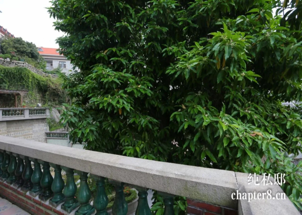Xiamen Gulangyu Chun Si Di Hostel