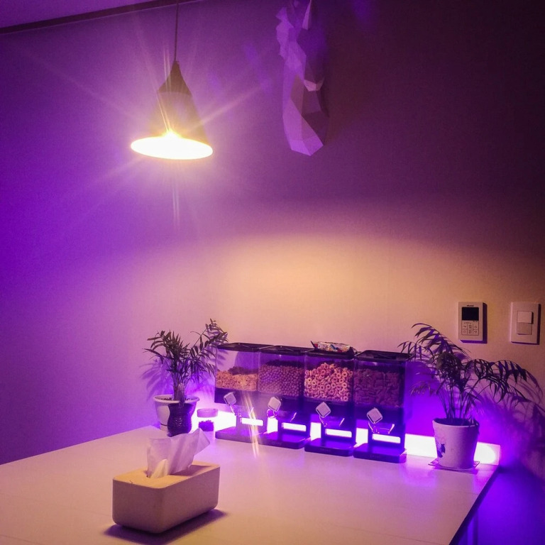 Jo Guesthouse - Hostel
