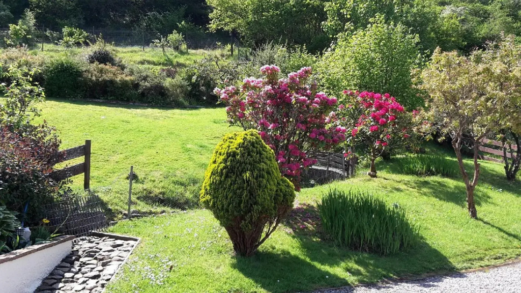 Ben Nevis Guest House