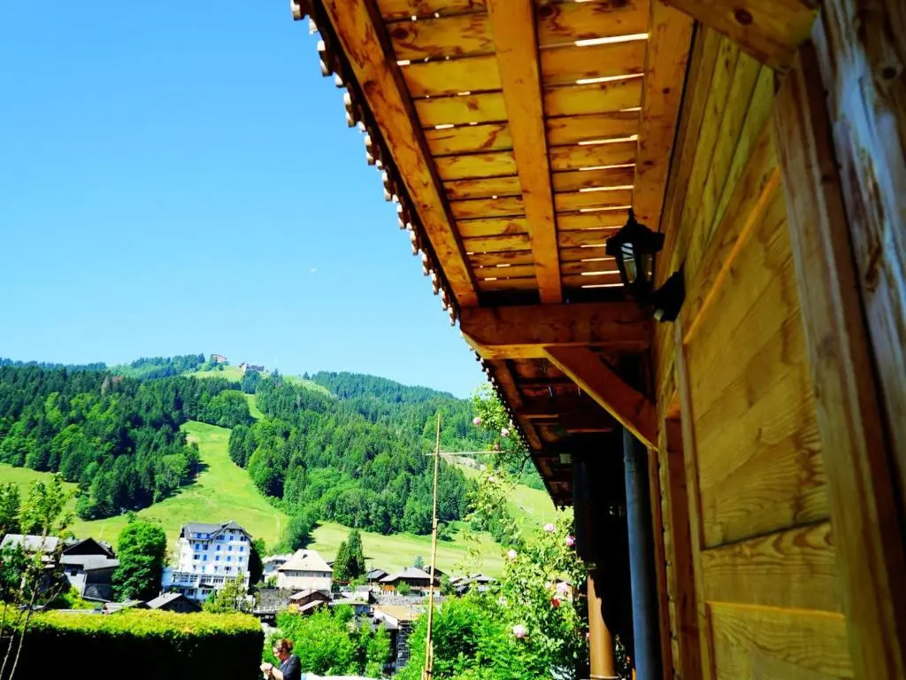 Chalet Morzine, 7 pièces, 12 personnes - FR-1-524-14
