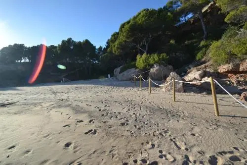 WVP - La Caleta