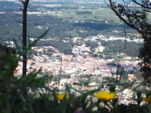 Casa Do Cha