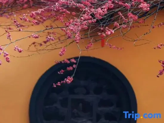 Shankee Tea Style Zhixiang Hotel (Huzhou Zhuangyuan Street Yishang Street)