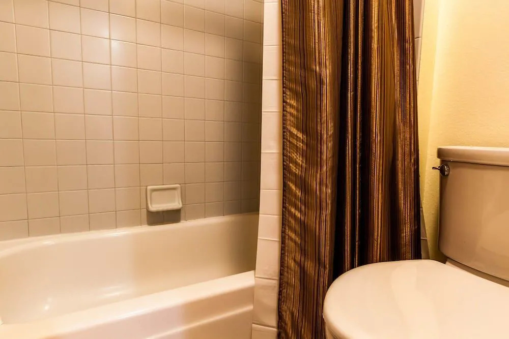 Flying Dutchman #1143 - Studio Br Condo