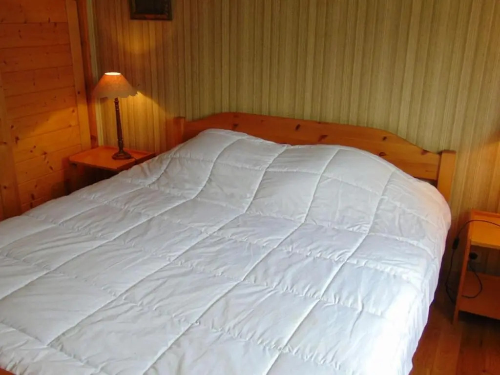 Appartement Chamonix-Mont-Blanc, 3 pièces, 4 personnes - FR-1-517-38