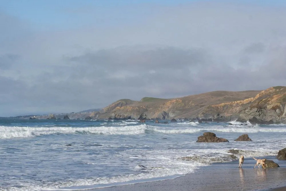 Dillon Beach Resort