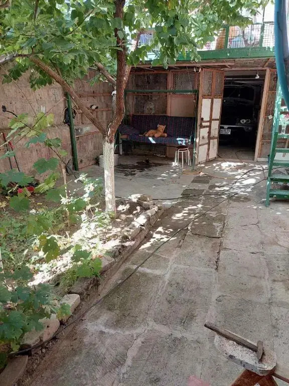 Mazmanyan 181