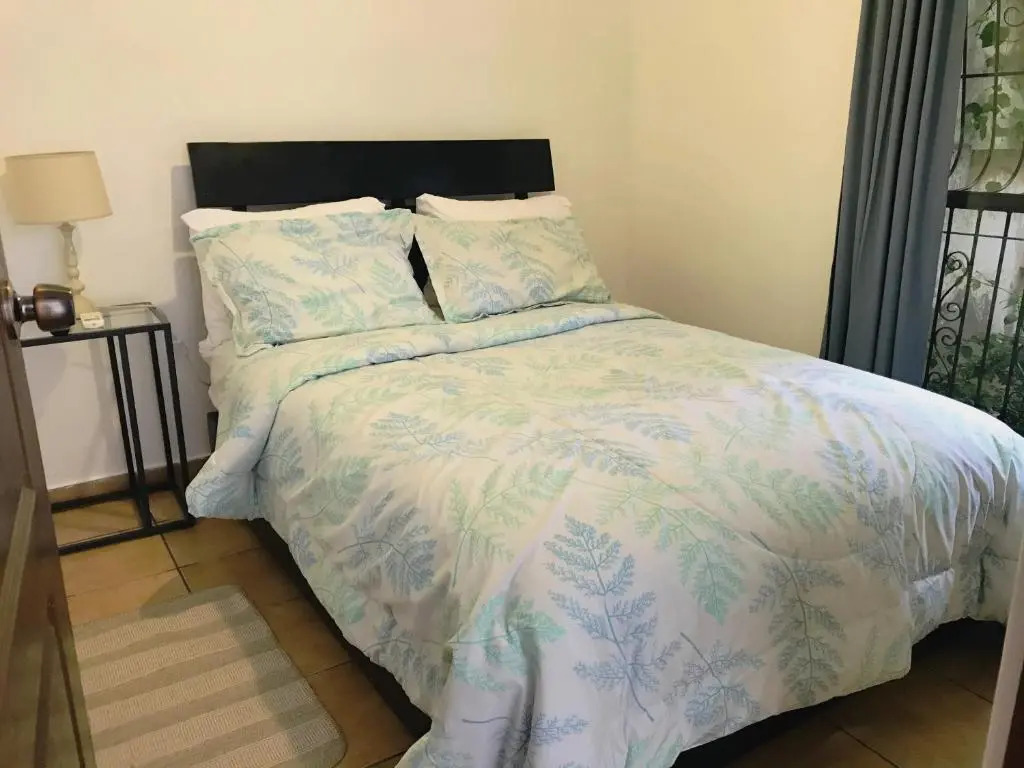 Zona Colonial 2 Bedrooms Apartment